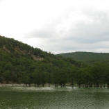 Водные кипарисы на озере Сукко