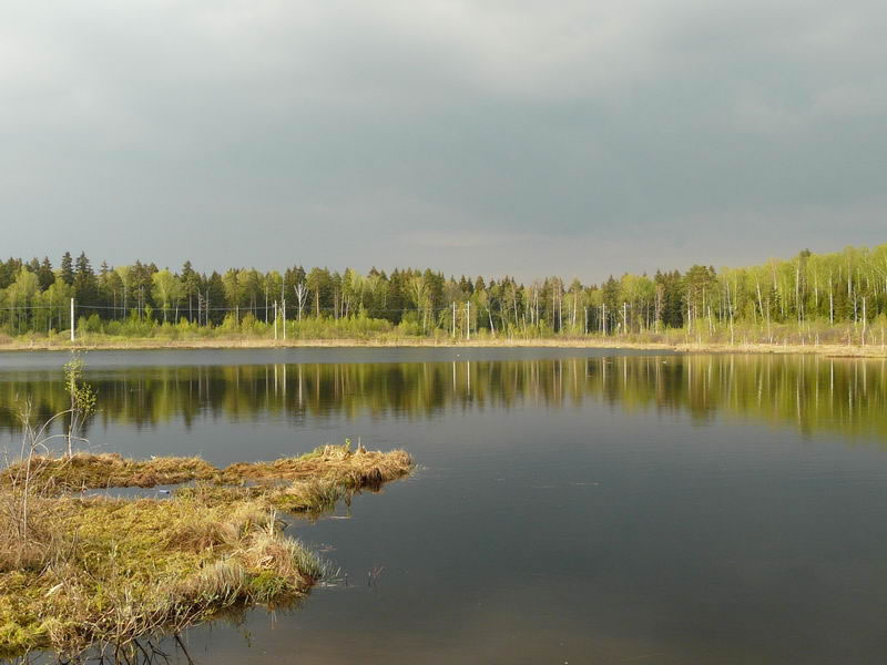 Перед грозой