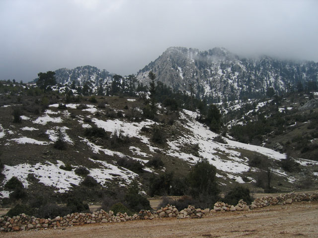 В горах