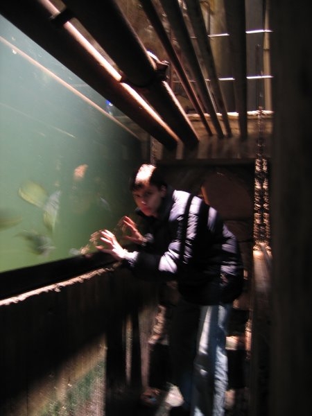 Стокгольм. В клоаках городского аквариума.
