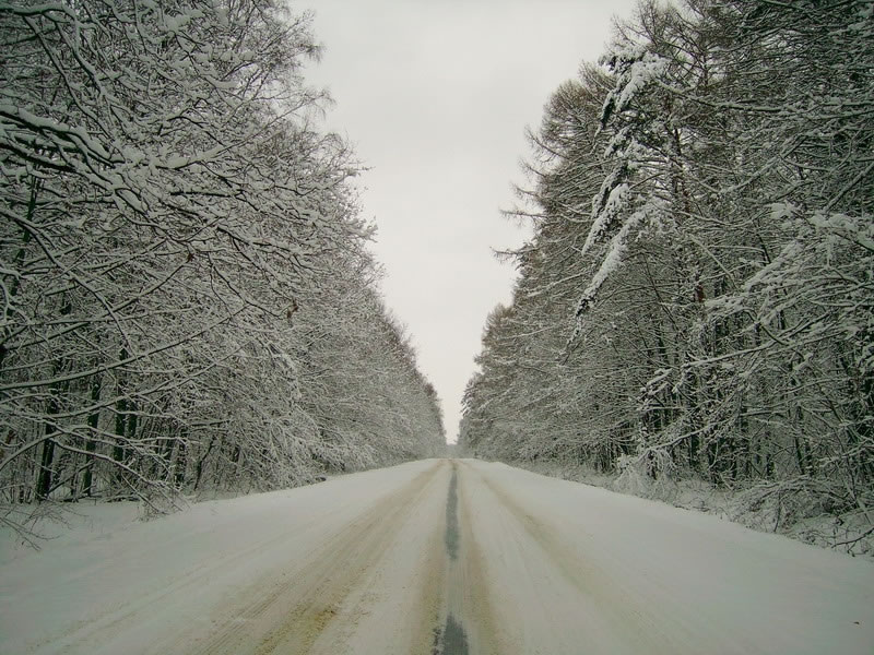 Зима за городом